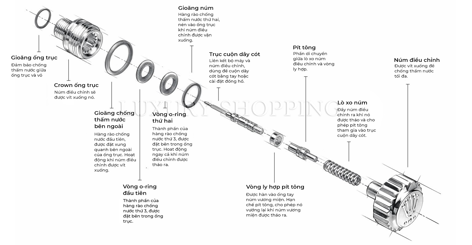 mô hình cấu tạo của núm vặn kháng nước screw-down crown